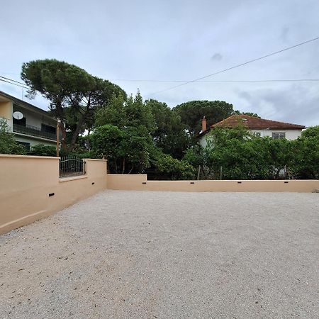Apartments Elena & Lana Zadar Zewnętrze zdjęcie